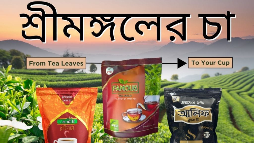 শ্রীমঙ্গলের চা