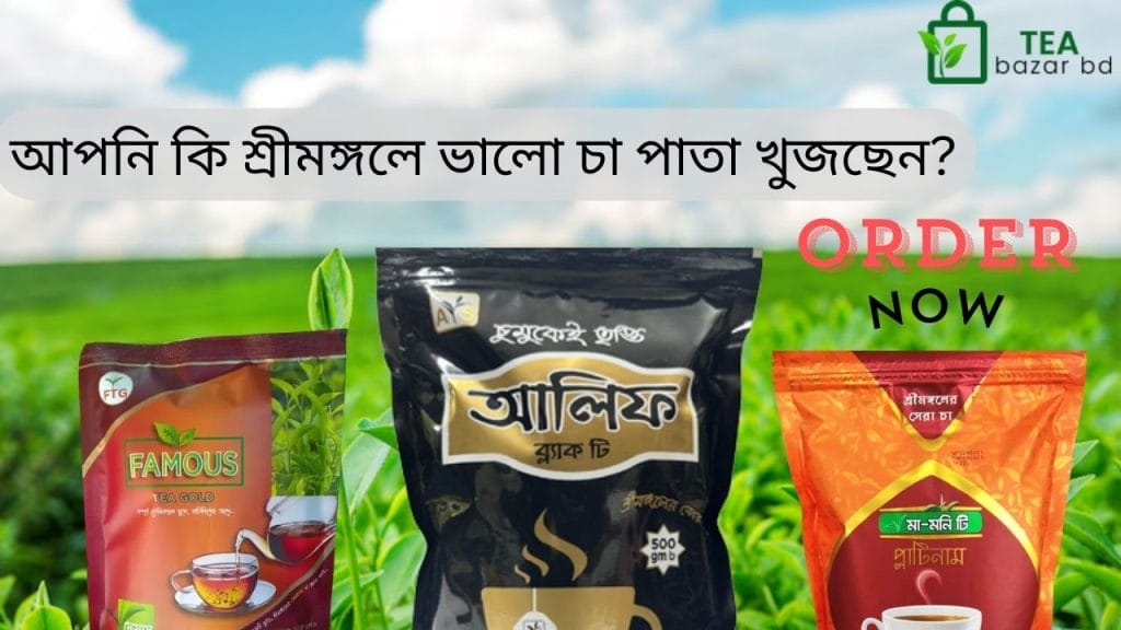 শ্রীমঙ্গলে ভালো চা পাতা কোথায় পাওয়া যায়