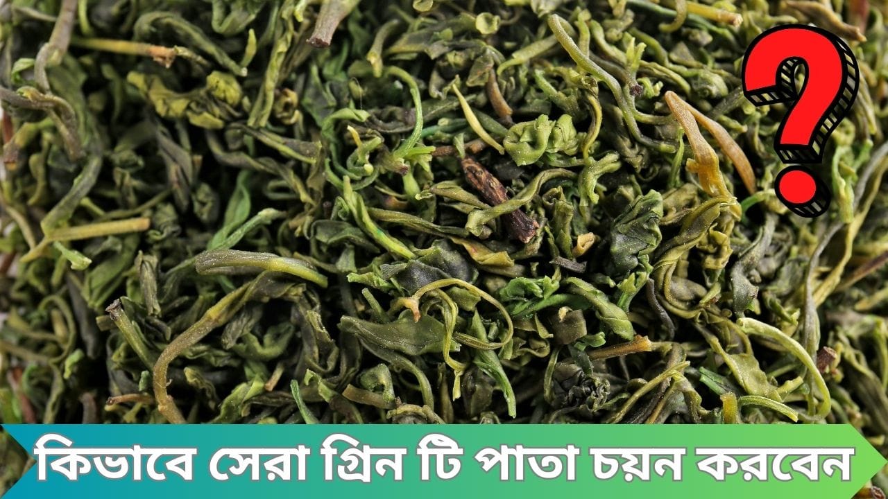 কিভাবে সেরা গ্রিন টি পাতা চয়ন করবেন