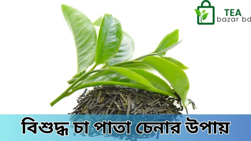 বিশুদ্ধ চা পাতা চেনার উপায়