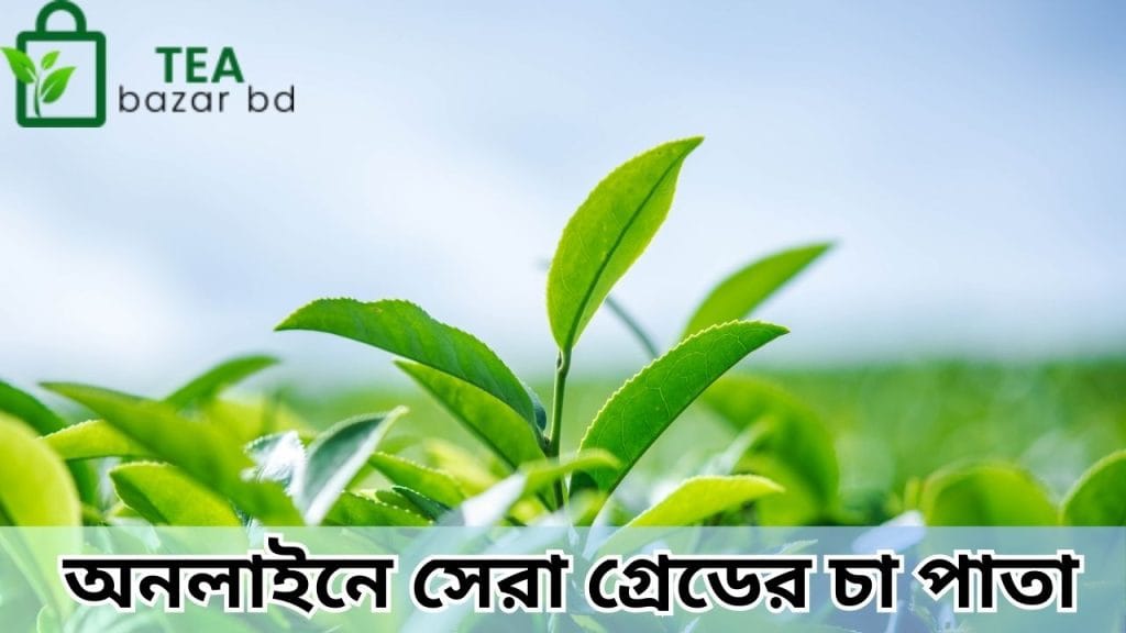 অনলাইনে সেরা গ্রেডের চা পাতা