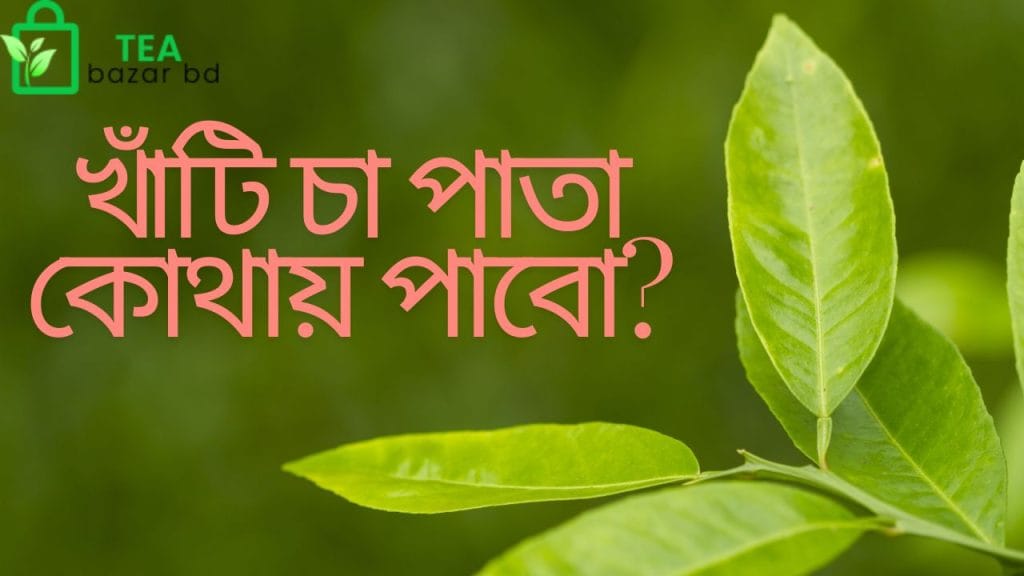 খাঁটি চা পাতা কোথায় পাবো